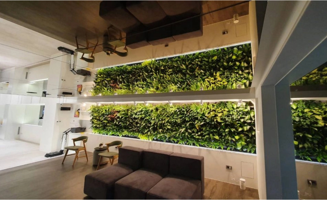 第二代吊掛植栽盆