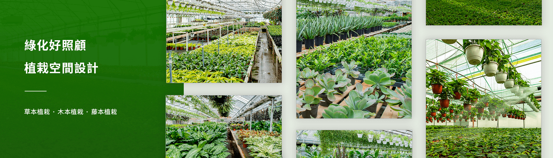 植栽介紹banner