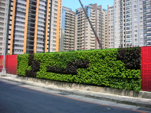 圍籬綠化綠牆