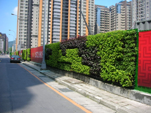 圍籬綠化綠牆